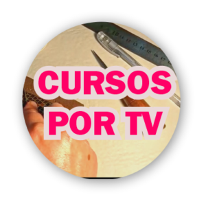 Cursos x TV