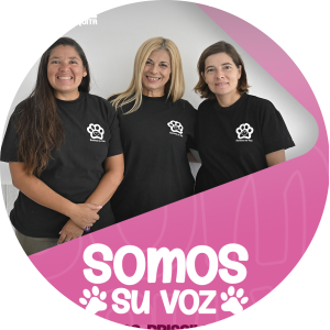 Somos su Voz Somos su Voz
